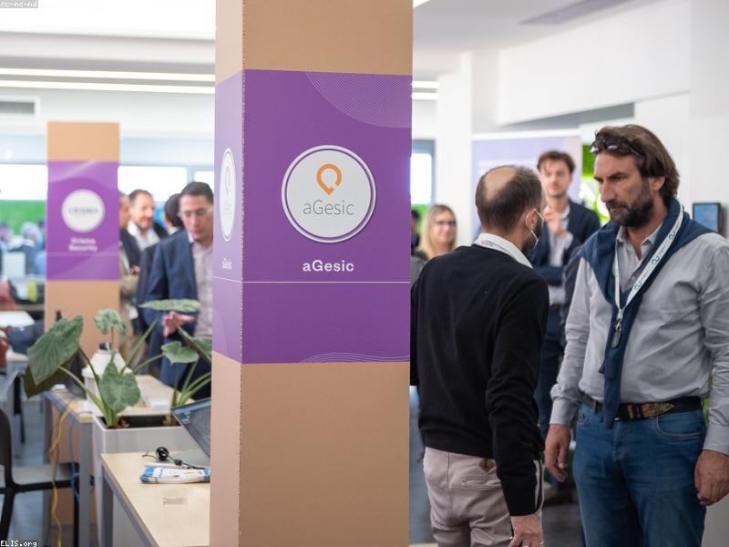 Startup team using Claude AI to scale without large headcount