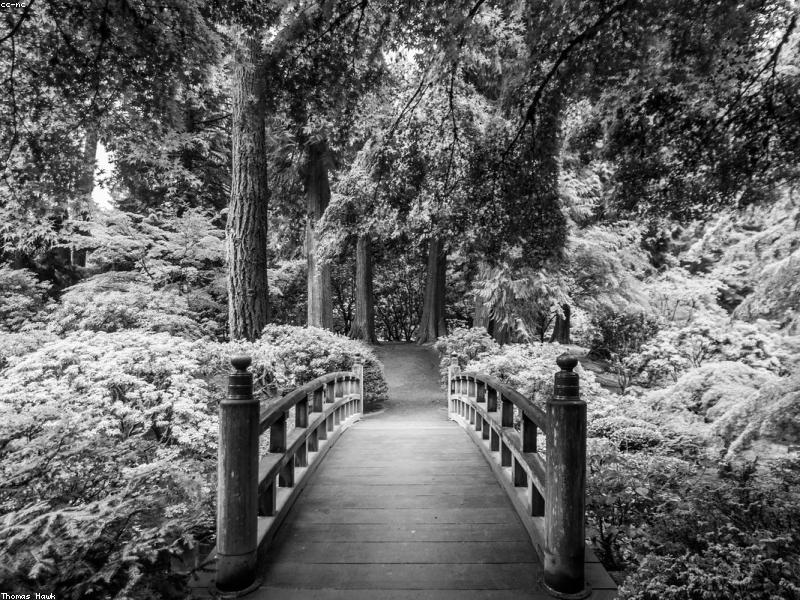 Couple walking through Japanese Garden in Portland with traditional architecture