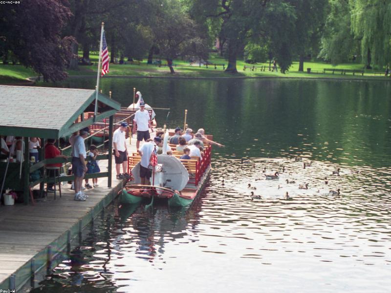Couple riding swan boats in Boston Public Garden lagoon