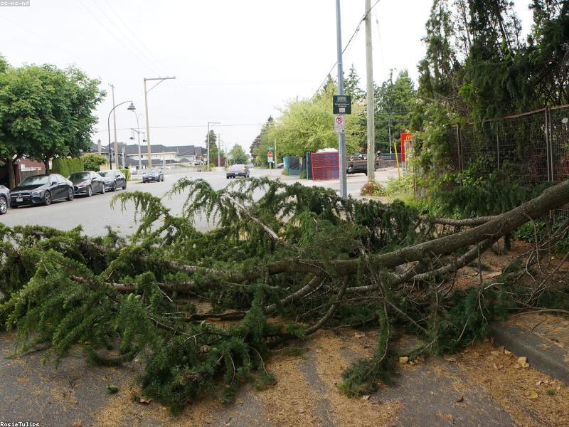 Car crash scene with emergency lights
