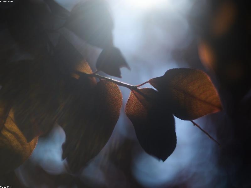 Nature and education harmony